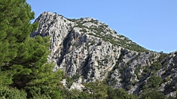 2014-10-110100.JPG