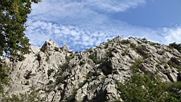 2014-10-110105.JPG