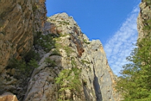 2014-10-110114.JPG