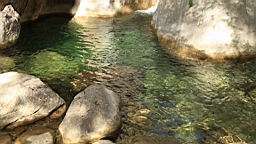 2014-10-110130.JPG