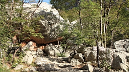 2014-10-110137.JPG