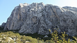 2014-10-110138.JPG