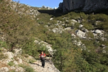 2014-10-110139.JPG