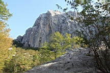 2014-10-110142.JPG