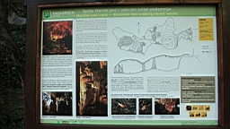 2014-10-110143.JPG