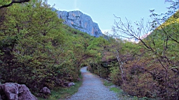 2014-10-110148.JPG