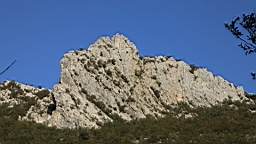 2014-10-110149.JPG