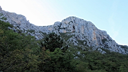 2014-10-110154.JPG