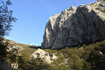 2014-10-110158.JPG