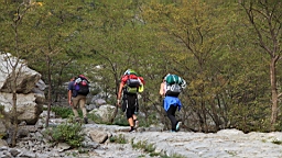 2014-10-110162.JPG
