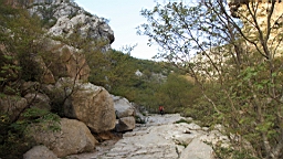 2014-10-110164.JPG