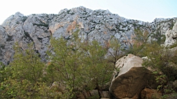 2014-10-110166.JPG