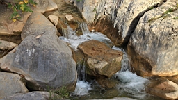 2014-10-110167.JPG