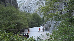 2014-10-110173.JPG