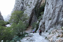 2014-10-110175.JPG