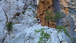 2014-10-110183.JPG