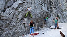 2014-10-110187.JPG