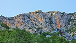 2014-10-110199.JPG