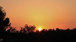 2014-10-110202.JPG