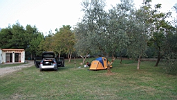 2014-10-110203.JPG