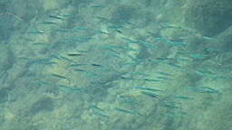 2014-10-120228.JPG
