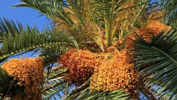 2014-10-120236.JPG