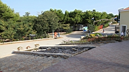2014-10-130311.JPG