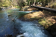 2014-10-130315.JPG