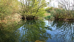 2014-10-130319.JPG