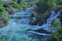 2014-10-130382.jpg