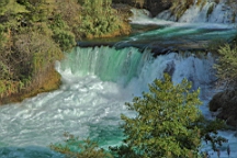2014-10-130390.JPG