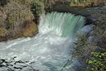 2014-10-130392.JPG