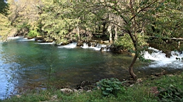 2014-10-130398.JPG