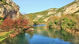 2014-10-130412.JPG