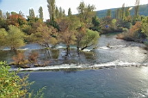 2014-10-130413.JPG