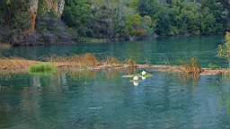 2014-10-130431.JPG
