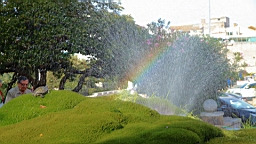 2014-10-140441.JPG