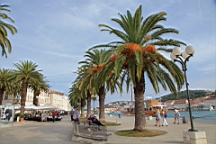 2014-10-140473.JPG