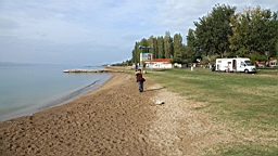 2014-10-160570.JPG