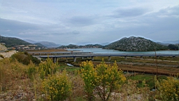 2014-10-160581.JPG