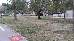 20141016_091309_1_bestshot.jpg