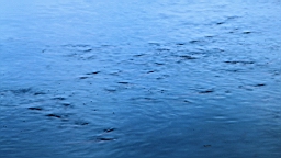 2014-10-170659.JPG