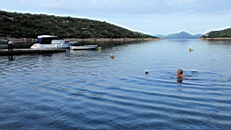 2014-10-170711.JPG