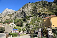 2014-10-191088.JPG