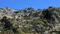 2014-10-191097.JPG