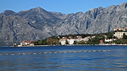 2014-10-191118.JPG