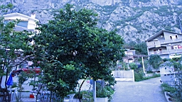 2014-10-201151.JPG