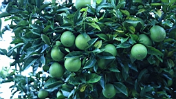 2014-10-201153.JPG