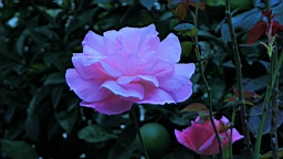 2014-10-201154.JPG