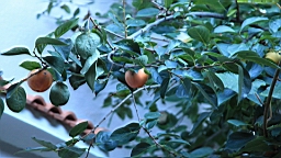 2014-10-201155.JPG
